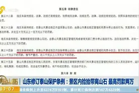 速看！山东修订泰山保护条例：景区内捡拾带离山石，最高罚款两万视频封面