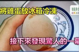 将鸡蛋放入冰箱冷冻，神奇的一幕发生了，长知识了！快来试一试吧视频封面