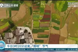 今日清明！清明节是怎么来的，这些古老民俗你都懂吗？视频封面
