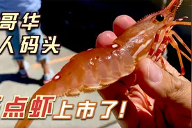 加拿大温哥华的斑点虾上市了，去列治文的渔人码头买一点回来吃视频封面