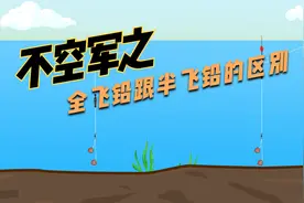 全飞铅跟半飞铅的区别和应用场景视频封面