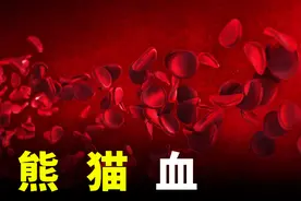 血型的5件事，什么是血型？视频封面