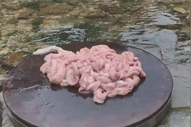 猪小肠这样吃才叫爽，一人吃着4斤，吃了还想吃