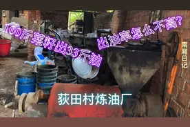 湖北黄石，实拍本地自榨菜籽油，100斤菜籽榨出33斤油，划算吗？视频封面