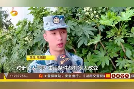 定向培养士官，湖南5所院校强强联手，培养新型军事人才视频封面