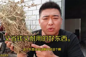 把野草变成刷锅的工具，看看是如何制作的，学会了自己制作。视频封面