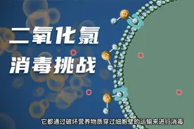 二氧化氯消毒机理动画视频封面