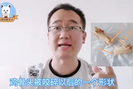 狗狗为什么不能吃鸡骨头，看完这2块骨头你就明白了视频封面