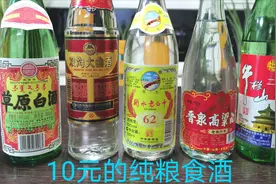 给大家介绍10元5款平民酒，还是纯粮食酒，天天喝三顿扛得住视频封面