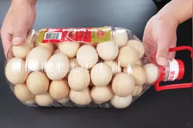 空油桶如何装鸡蛋？小伙演示一遍，方法原来这么简单，太实用了