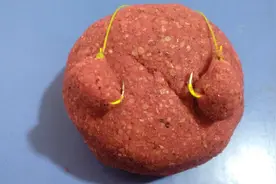 钓不到鱼？试试这款经典饵料搭配，冬季钓鲤鱼不断口！视频封面
