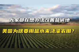大家都在想办法改善盐碱地，美国为啥要用盐水来浇灌农田？视频封面