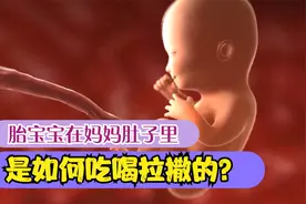 宝宝在妈妈肚子里是如何吃喝拉撒的？视频封面