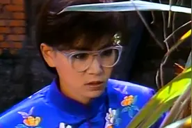 琼瑶经典电视剧《庭院深深》原声插曲：不如归去  演唱：李碧华视频封面