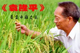 他用一粒种子改变世界,毕生的梦想,是让所有人能吃饱饭-袁爷爷视频封面