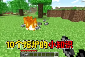 我的世界：10个关于熔炉的小知识，猫主子竟然怕冷