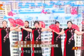 【新春走基层】正定县塔元庄村：拔节生长的好日子视频封面