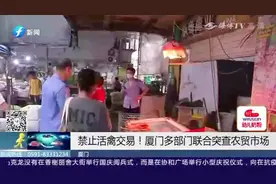 紧急通知！厦门全市禁止！多部门联合查处违规活禽交易视频封面