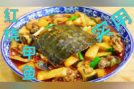 甲鱼不要只会炖汤了，试试四川这个特色做法，家常开胃好吃到爆