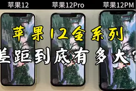 苹果12、12Pro、12ProMax的使用体验，差距到底有多大？视频封面