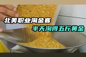 北美职业淘金客，半天海捞5斤黄金视频封面