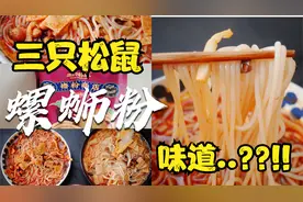 【生活】三只松鼠螺蛳粉测评| 李子柒螺蛳粉|好欢螺螺蛳粉