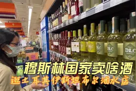 【旅居日记】穆斯林喝什么酒？带你逛土耳其酒水商店 伊斯坦布尔视频封面