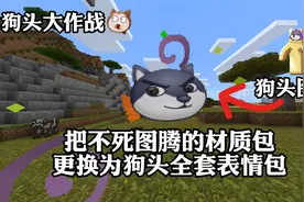 我的世界当你把不死图腾材质包更改为狗头全套表情包|狗头大作战