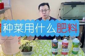 种菜用什么肥料最好？氮磷钾对植物的作用是什么？怎么自己配肥料视频封面