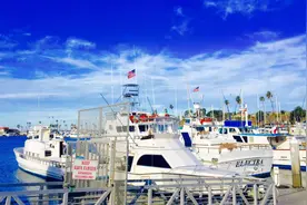 美国南加州 San Diego 冬季賞鯨活動视频封面