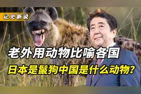 老外用动物代表各国，日本是鬣狗韩国是老鼠？代表中国的让你自豪视频封面