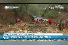 “3·21”东航飞行事故：找到部分遗物残骸，最深处距地表20米视频封面
