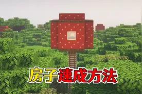 我的世界：搭建房子的2个速成方法，住的舒适又美观！