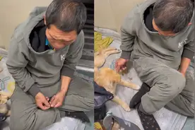 大哥费尽周折带小狗回山东，害怕打扰乘客打地铺，火车上一幕暖心视频封面