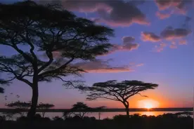 没有人有耐心听你讲完自己的故事，因为每个人都有自己的话要说视频封面