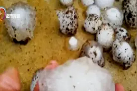 黑云压顶！未来几天暴雨+冰雹+阵雪+大风将席卷云南这些地方视频封面