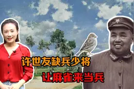 日寇来扫荡，许世友身边缺兵少将，说：让麻雀来帮忙视频封面