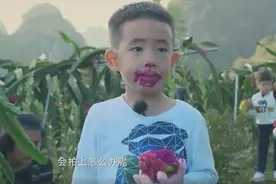 Jasper偷吃合集：想偷吃又怕爸爸真萌到犯规，鸽子食物都要尝一下视频封面