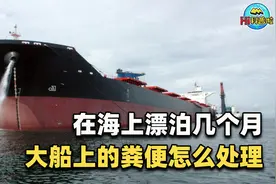 大船厕所里的屎都去哪了？是不是直接排放到海里喂鱼视频封面