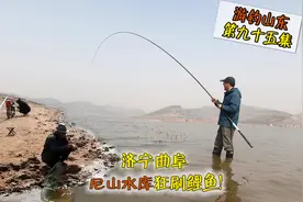 游钓山东：济宁尼山水库，狂刷鲤鱼，钓鱼大爷沦为摘鱼侠！视频封面