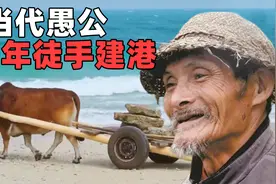 他一个人，带着一头牛，徒手搬运200万块石头，建了一座海边长城视频封面