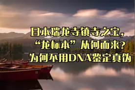 日本瑞龙寺镇寺之宝，“龙标本”从何而来？为何不用DNA鉴定真伪
