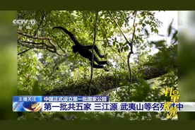 中国正式设立第一批国家公园，三江源、武夷山等名列其中|24小时视频封面