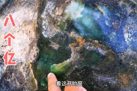 世界上最贵的翡翠，一块价值八个亿，跟我一起来芒市奇珍园看看！视频封面