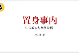 总结：政府与经济发展-兰小欢《中国政府与经济发展》第6集视频封面