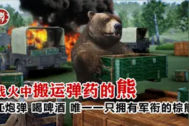 战火中搬运弹药的熊：扛炮弹 喝啤酒 唯一一只拥有军衔的棕熊视频封面