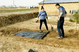 农村小夫妻挖菜地，爆笑不断，最后丈夫说了什么让妻子直接笑喷了视频封面