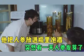 他把人参放进瓶里泡酒，突然有一天人参发芽了视频封面
