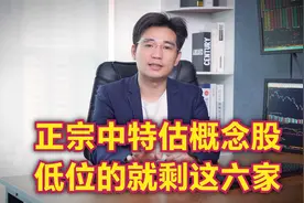 正宗中特估概念股，低位的就剩这六家，你想不想知道？视频封面