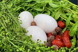 俗话说农历三月三荠菜赛金丹，民间说法，这天用荠菜煮蛋吃很营养视频封面